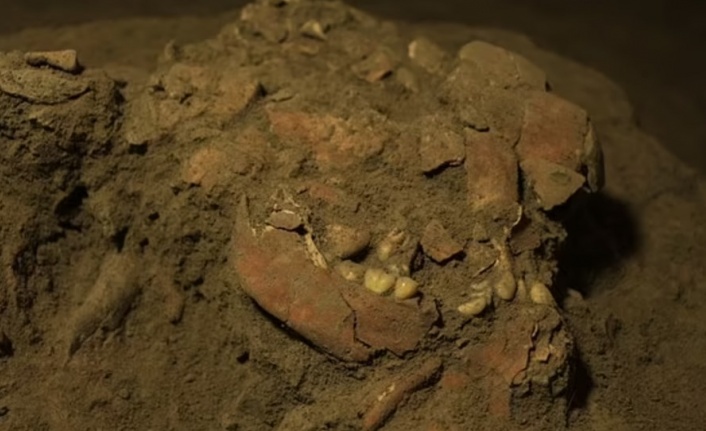 7 bin 200 yıl önce ölen kadının DNA örneği keşfedildi