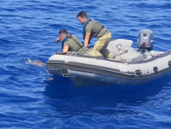 Alanya'da ağa dolanmış carettayı sahil güvenlik kurtardı