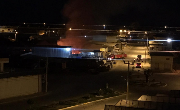 Alanya'da gece saatlerinde korkutan yangın