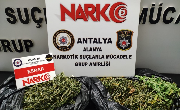 Alanya'da polisten uyuşturucu baskını: 1 gözaltı