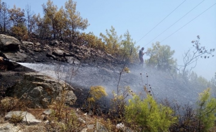 Alanya’da çalı yangını korkuttu