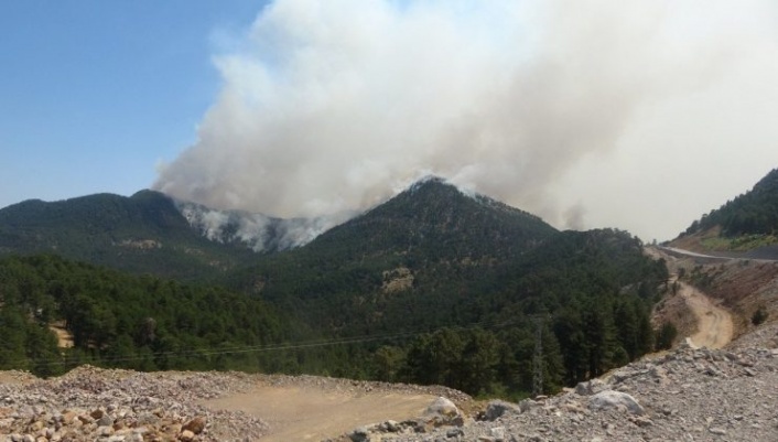 Alanya’da yıldırım düştü, orman yangını çıktı
