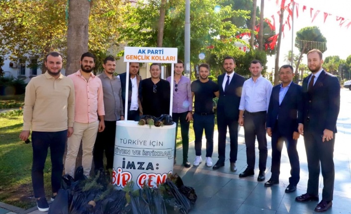 AK gençler Alanya'da fidan dağıttı