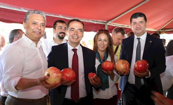 Gazipaşa Nar Festivali’ne hazır