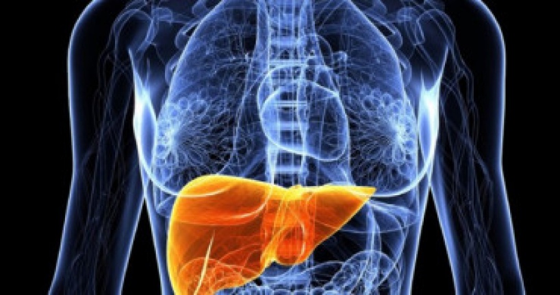 Karaciğer kanserinin belirtileri nelerdir