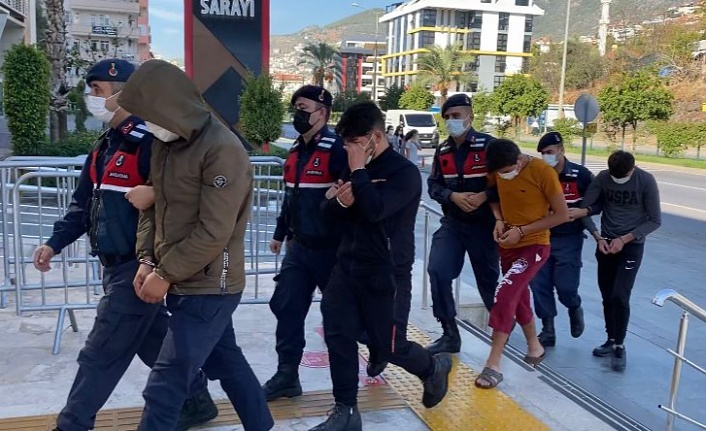 Alanya’da girdikleri bahçeden 100 bin TL değerinde 15 bin avokado çaldılar