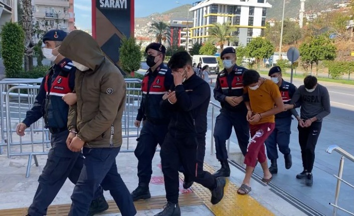 Alanya'da 100 bin TL'lik avokado hırsızlığında 3 tutuklama