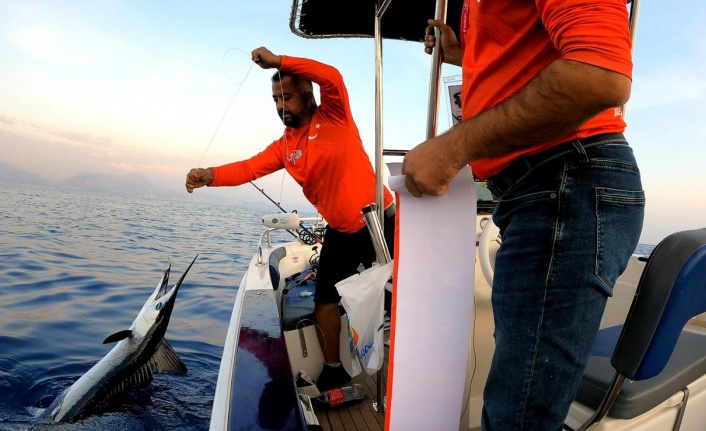 Alanya’da tutulan o balık denize tekrar bırakıldı