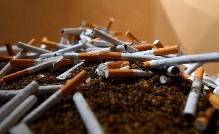 Dünya Sağlık Örgütü’ne göre dünya çapında sigara kullanımı düşüyor