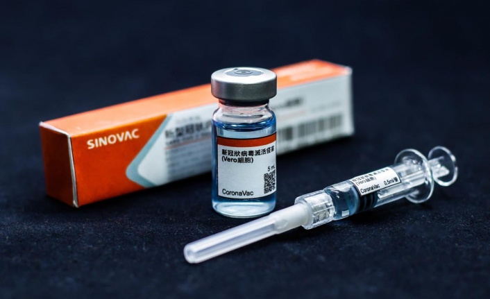İngiltere'den Sinovac aşısına onay