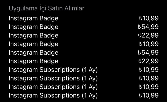Instagram ücretli abonelik dönemi başlıyor