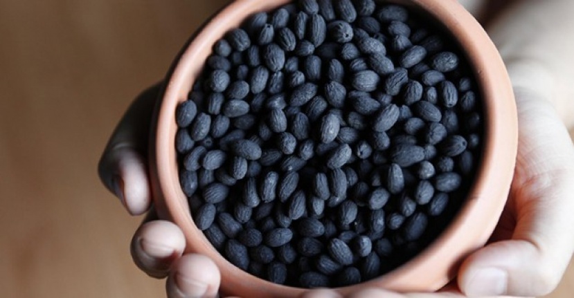 Zeytin çekirdeği yutmanın etkileri