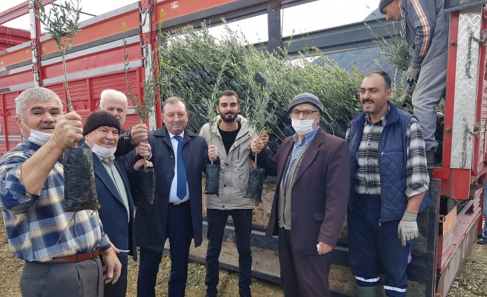 Tarım ve Orman Bakanlığı’ndan Alanya’ya destek