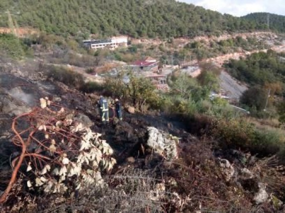 Alanya’da çalılık yangını