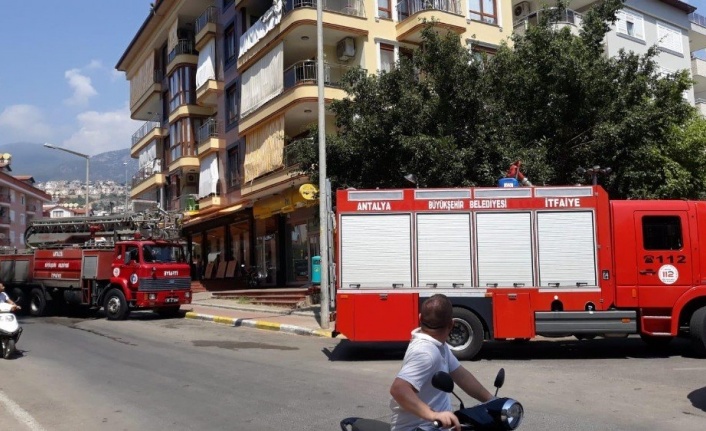 Alanya’da korkutan yangın!