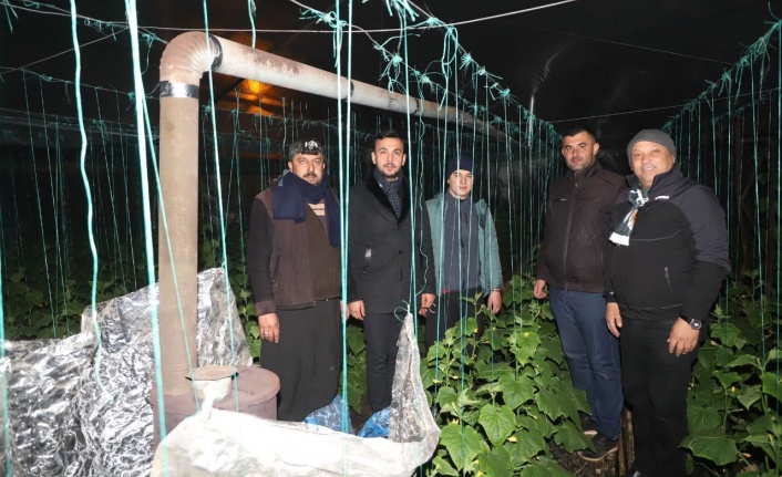 Toklu Alanyalı üreticiyi yalnız bırakmadı