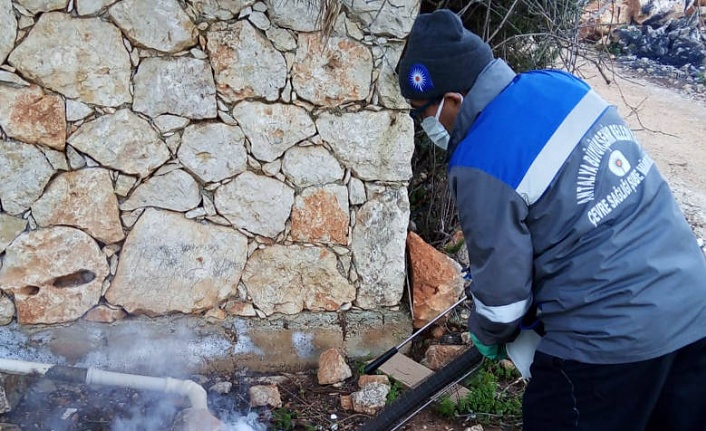 Alanya’da sinekle mücadele kar kış demeden aralıksız sürüyor