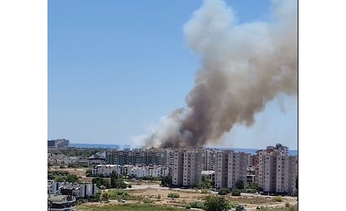 Antalya'da orman yangını!