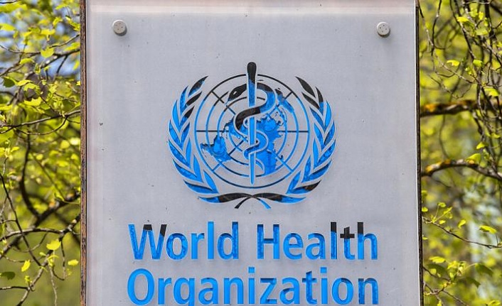 Dünya Sağlık Örgütü, maymun çiçeği salgını için 'küresel acil durum' ilan etti!
