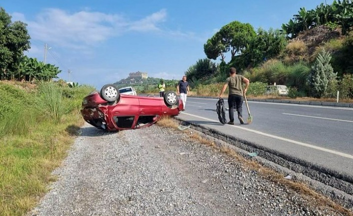 Alanya'da feci kaza: 1 yaralı, 1 köpek telef oldu!