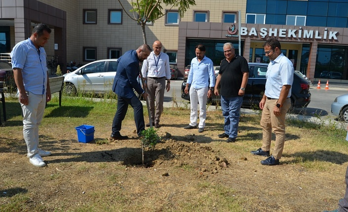 Alanya’da iyileşen hastalar adına zeytin ağacı dikildi