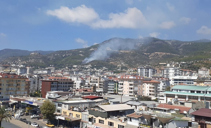 Alanya’da ormanlık alanda yangın çıktı!