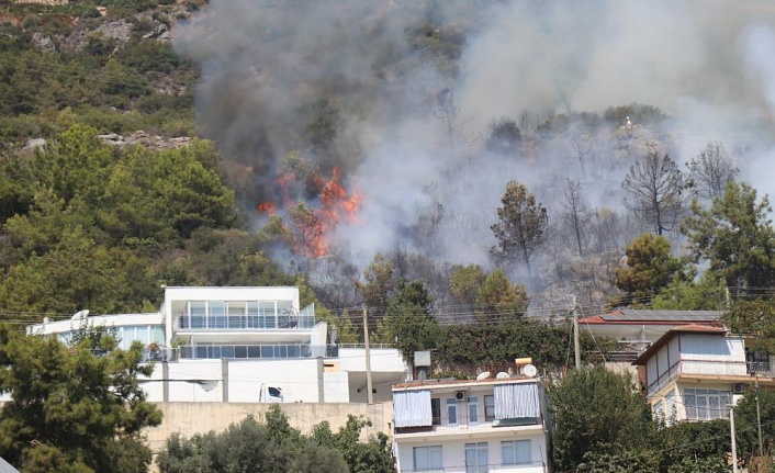 Alanya’da ormanlık alanda çıkan yangın söndürüldü