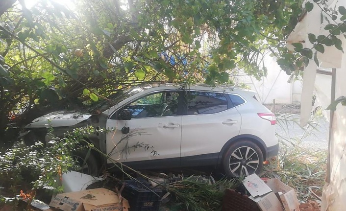 Ağaca çarpan otomobilin sürücüsü yaralandı!