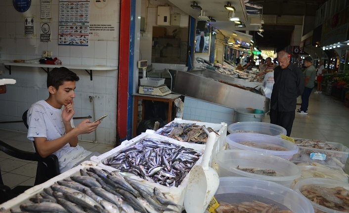 Alanya'da hamsi yemek hayal oldu