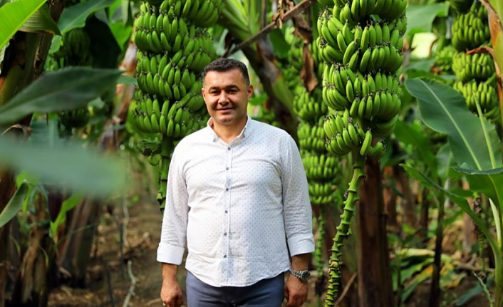 AVOKADO TEMALI TROPİKAL MEYVE FESTİVALİ BU GÜN BAŞLIYOR