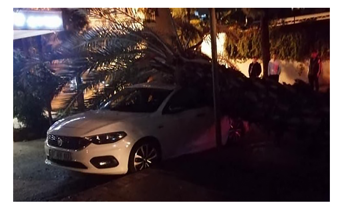 Alanya’da park halindeki aracın üzerine ağaç devrildi!