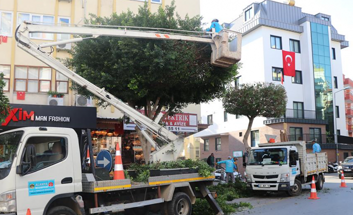 ALANYA BELEDİYESİ KIŞLIK BAKIM ÇALIŞMALARINA DEVAM EDİYOR