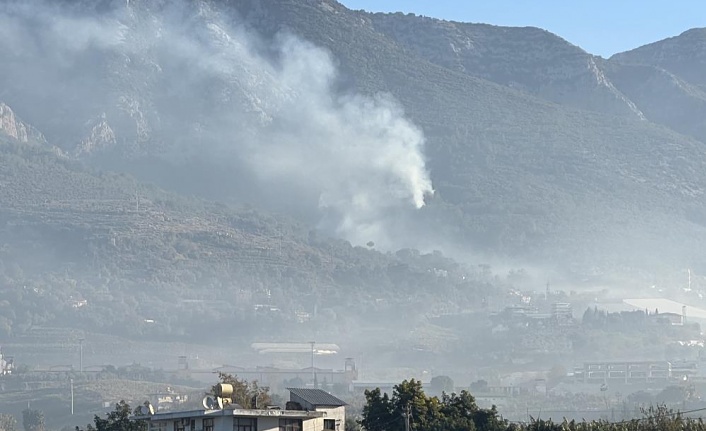 Alanya’da orman yangınında yaklaşık 10 dönüm zarar gördü!