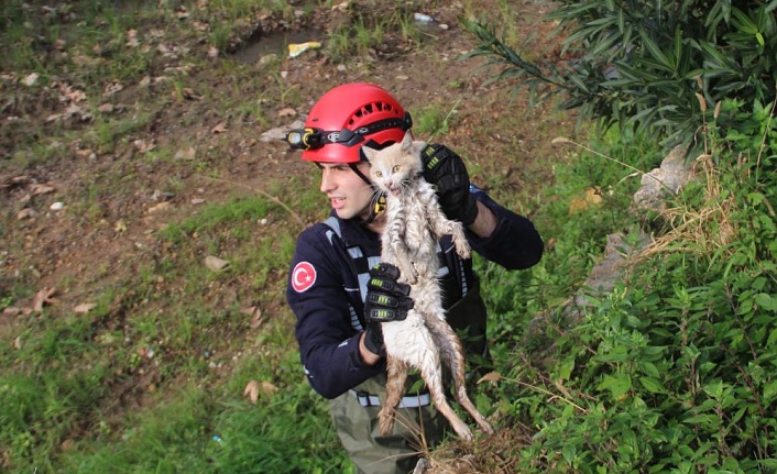 Derede mahsur kalan kedi, itfaiyeye zor anlar yaşattı