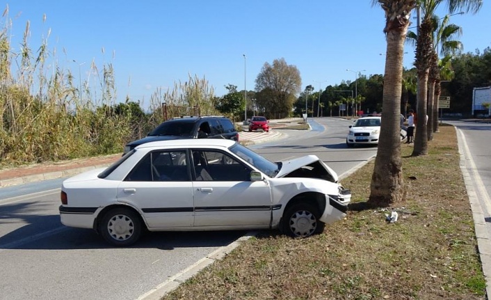 Alkolden ehliyeti iptal edilen sürücü otomobille palmiyeye çarptı!