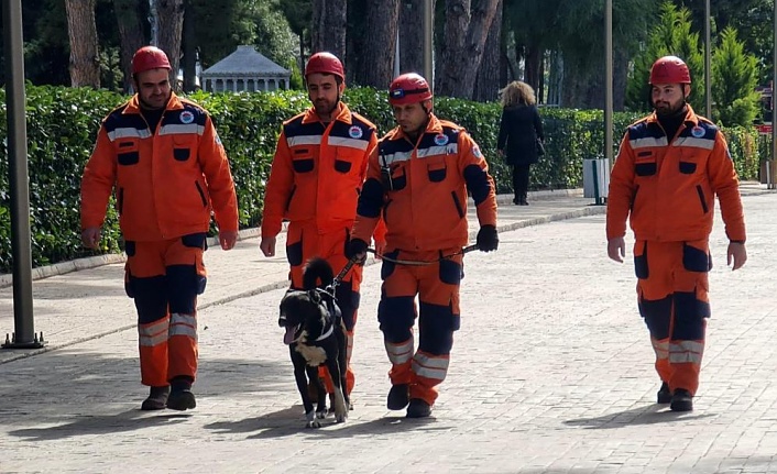 Depremzede köpek ‘Hayat’, yeni hayatlar kurtaracak