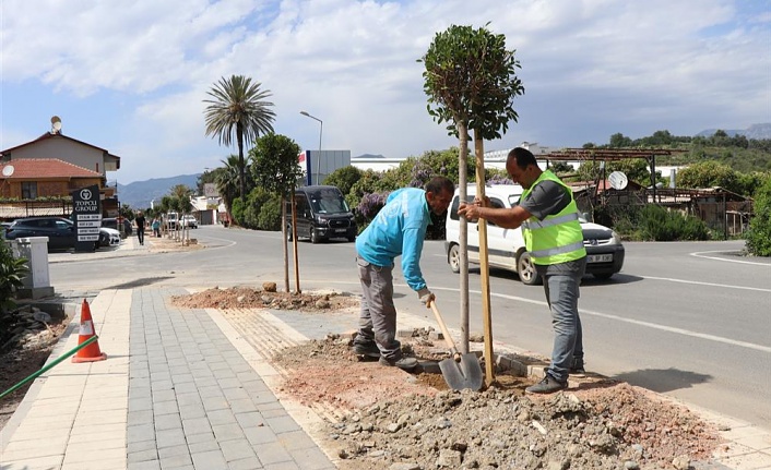 ALANYA BELEDİYESİ DAHA YEŞİL BİR ALANYA İÇİN ÇALIŞMALARINA DEVAM EDİYOR