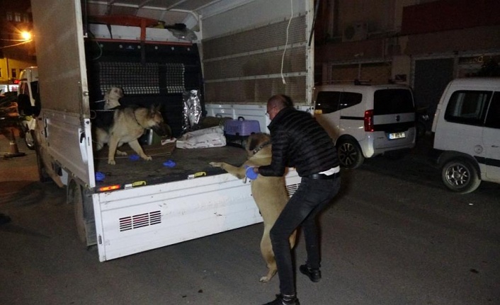 Eski eşin ihbarı polisi alarma geçirdi, evden bir cenaze ve 3 köpek çıktı !