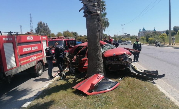 Sollama yaparken palmiyeye çarpan sürücü ağır yaralandı