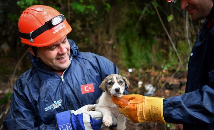 5 metrelik çukurda mahsur kalan yavru köpek kurtarıldı