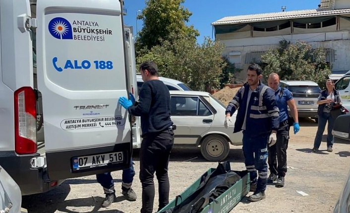 Gazipaşa'da çalıştığı kahvehanede ölü bulundu !