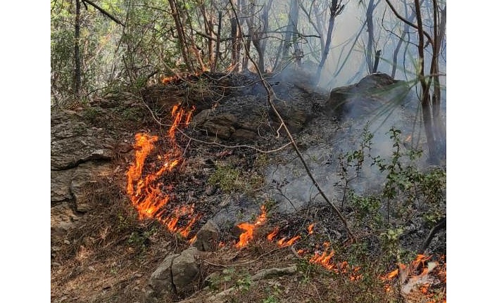 Ormanlık alanda çıkan yangın büyümeden kontrol altına alındı