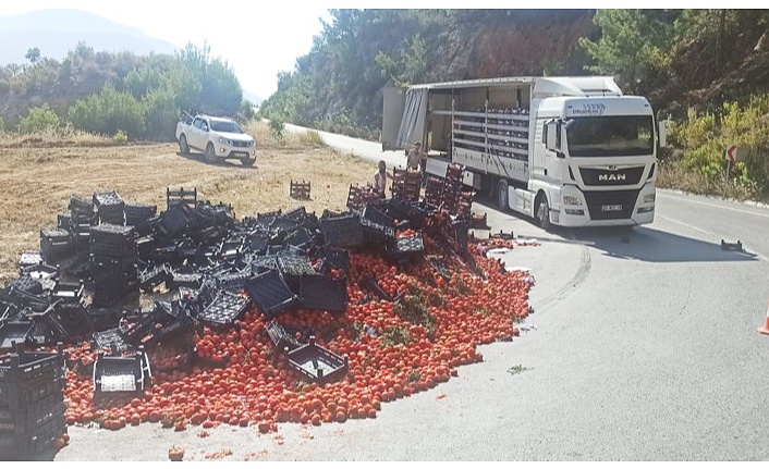 Gazipaşa'da domates yüklü tırın yükü yan yattı