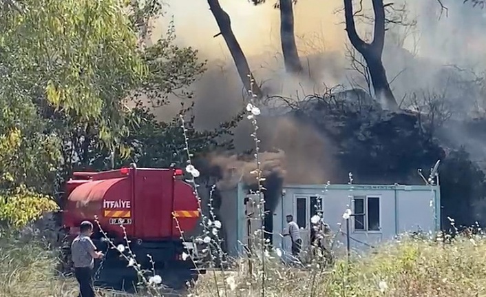 Konteyner da başlayan yangın ormana sıçradı