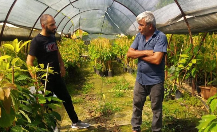 Gazipaşa İlçe Tarım fide ve fidan denetimi yaptı