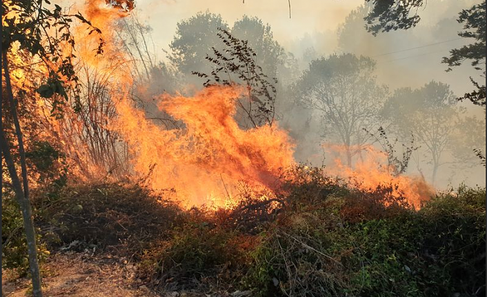 Gazipaşa’da hazineye ait ormanlık alanda yangın çıktı