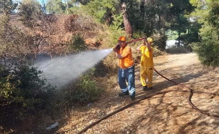 Ormanlık alanda başlayan yangın tarım arazisine sıçradı