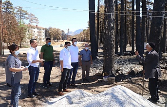 Ak Parti’den Alanya'daki yangın bölgelerine geçmiş olsun ziyareti