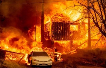 Dünya Kül Oluyor! Akdeniz ülkeleri ve Amerika'da yangınlar büyüyor