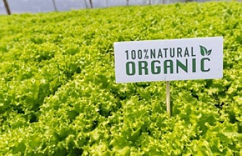 Organik diye satılan ürünler göğüs kanserine neden oluyor!